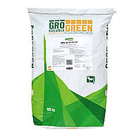 Добриво GroGreen NPK 20-20-20+TE 10 кг Lima Бельгія