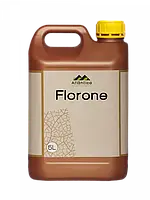 Біостимулянт Флорон (Florone) 5 л Вітера Atlantica Agricola Іспанія