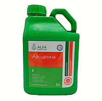 Протруйник Авіценна   5 л  Alfa Smart Agro Альфа Смарт Агро Україна