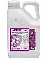 Фунгіцид Аккорд 5 л Нертус Угорщина