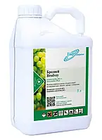 Фунгіцид Бродвей КС 5 л Хімагромаркетинг Україна