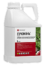 Гербіцид Промінь 5 л Presence / Презенс