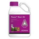 Інсектицид Рімон Фаст Адама  5 л /  ADAMA Ізраїль