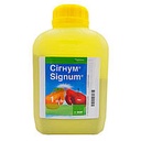 Фунгіцид Сігнум 1 кг Basf Басф Німеччина